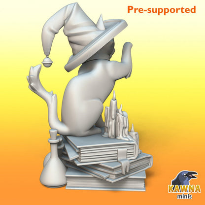 Witch Cat | Adventure Cat | Kawna