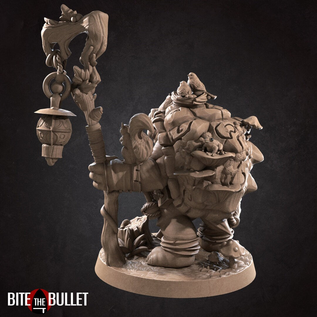 Anthropomorphic tortoise holding a staff, a squirrel perched on his arm. Resin miniature by Bite the Bullet.