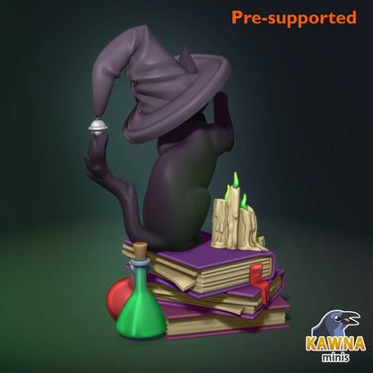 Witch Cat | Adventure Cat | Kawna