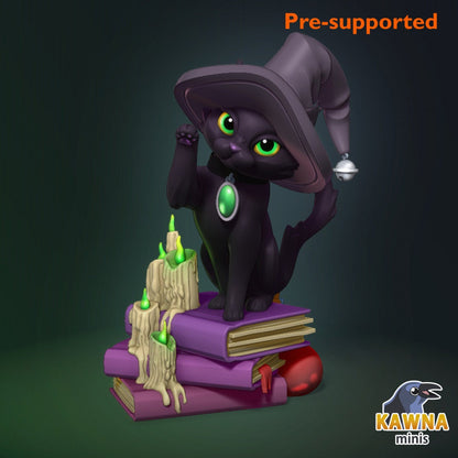 Witch Cat | Adventure Cat | Kawna