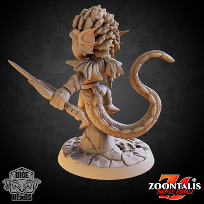Mermaid Rogue | Dice Heads
