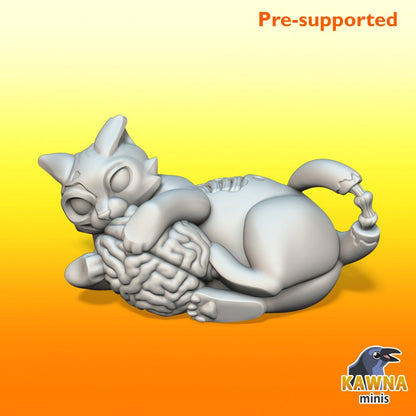 Zombie Cat | Adventure Cats | Kawna