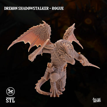 Drekon Shadowstalker - Rogue | Arcane Minis